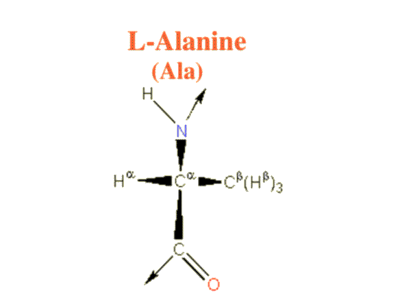 Alanine image
