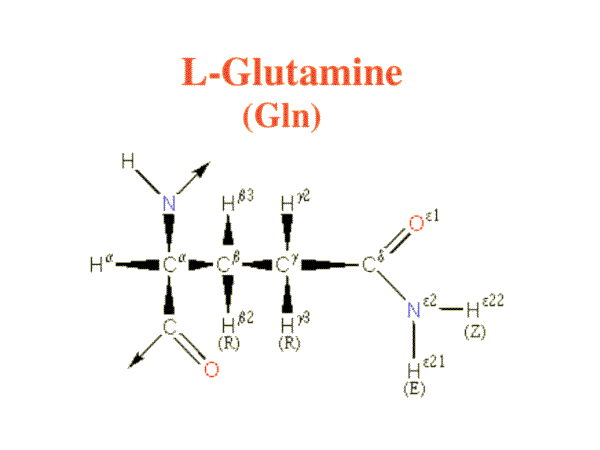 Glutamine image