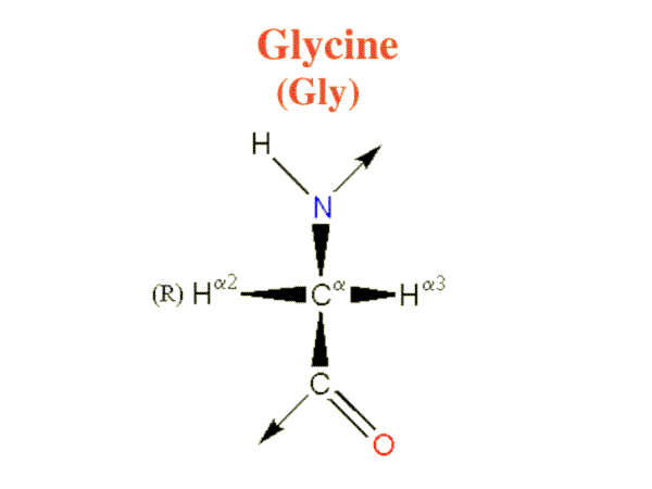 Glycine image