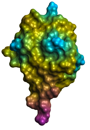 Ubiquitin surface 1d3z