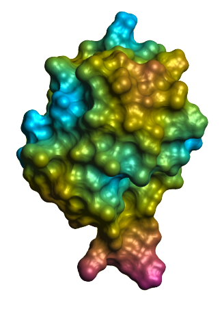 Ubiquitin surface 1g6j