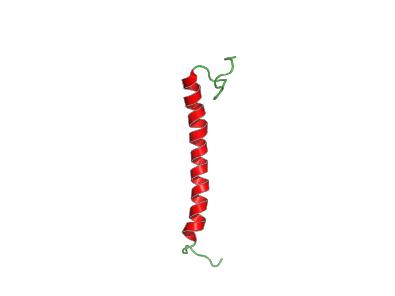 Ribbon image for 1wrg