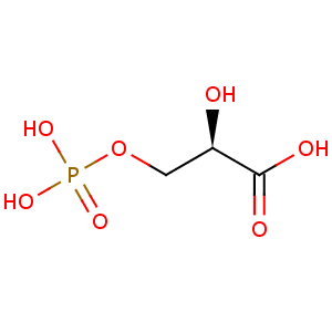 D_3_phosphoglyceric_acid