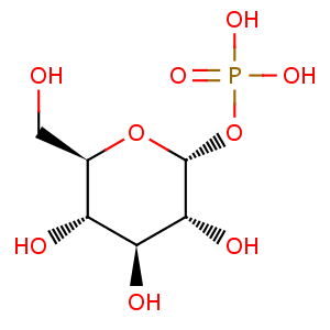 alpha_D_glucose_1_phosphate