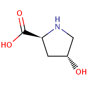trans_4_hydroxy_L_proline