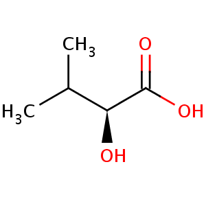 2_hydroxy_3_methylbutyric_acid