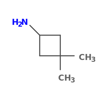 3,3-dimethylcyclobutan-1-amine